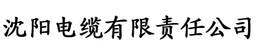 色污app电缆厂logo